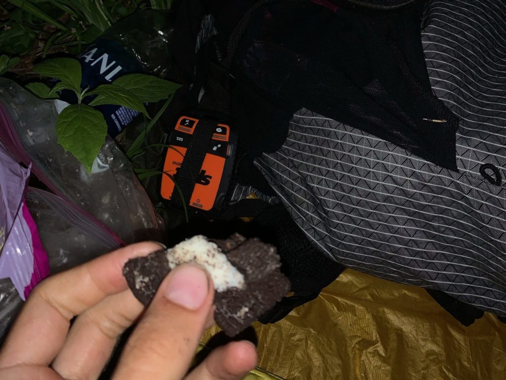 Me nomming on some oreos. Keep reading for DIY cooking tips and on trail smoothies.